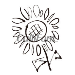 해바라기